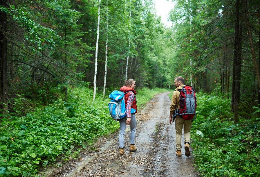 Hiking Experiences That Turn Simple Walks Into Memorable Stories